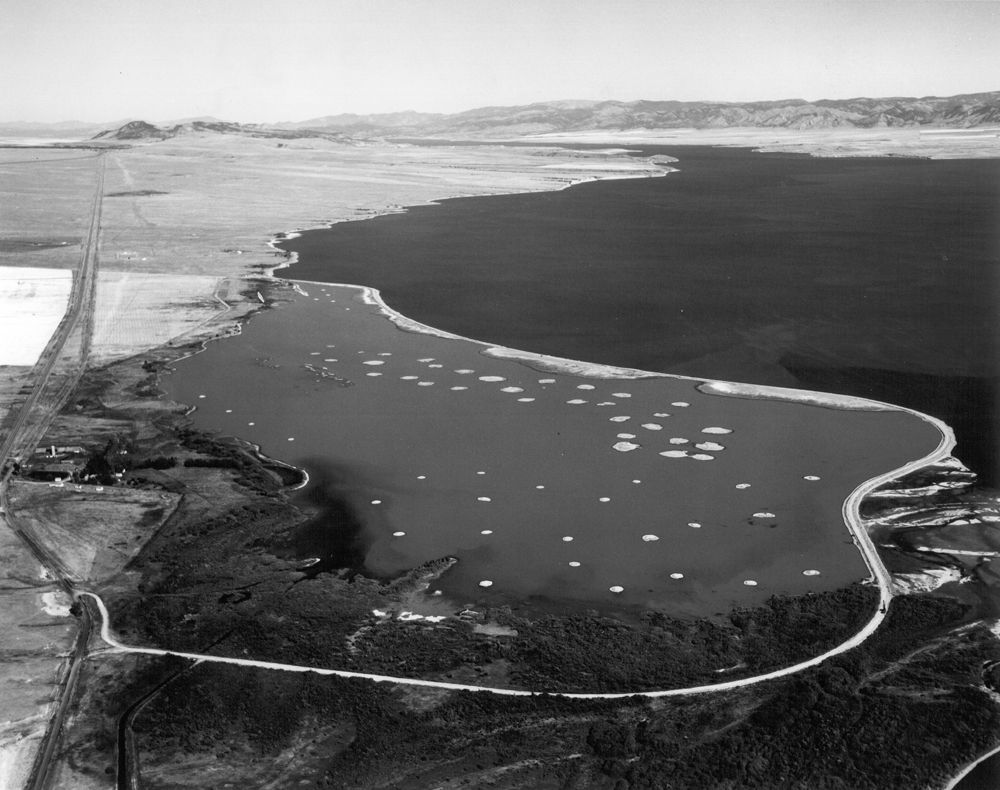 Westside Pond